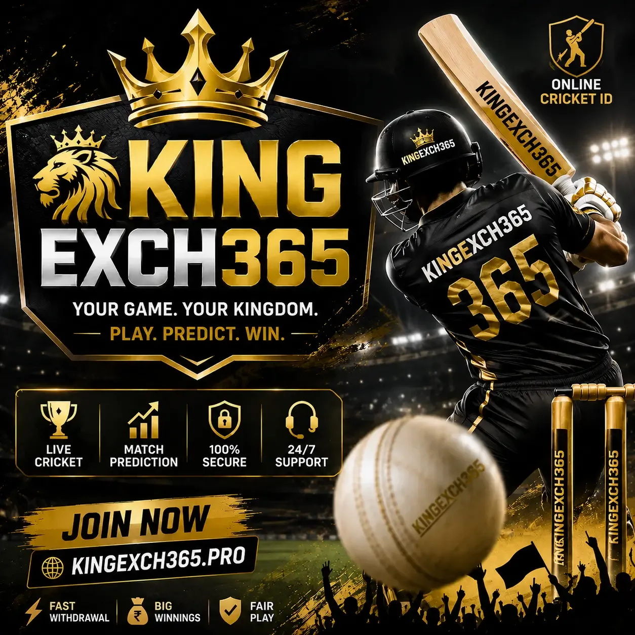 Kingexch365.com-id-Provider-services