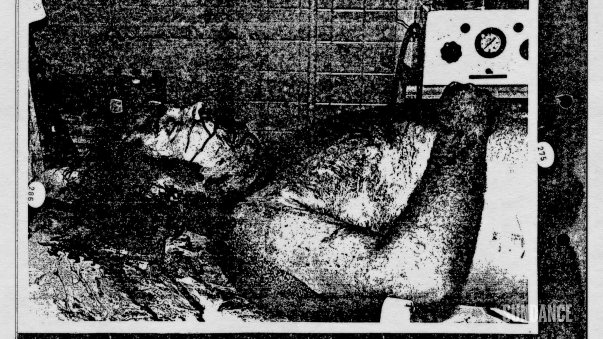 Autopsy photo of Ken McElroy.