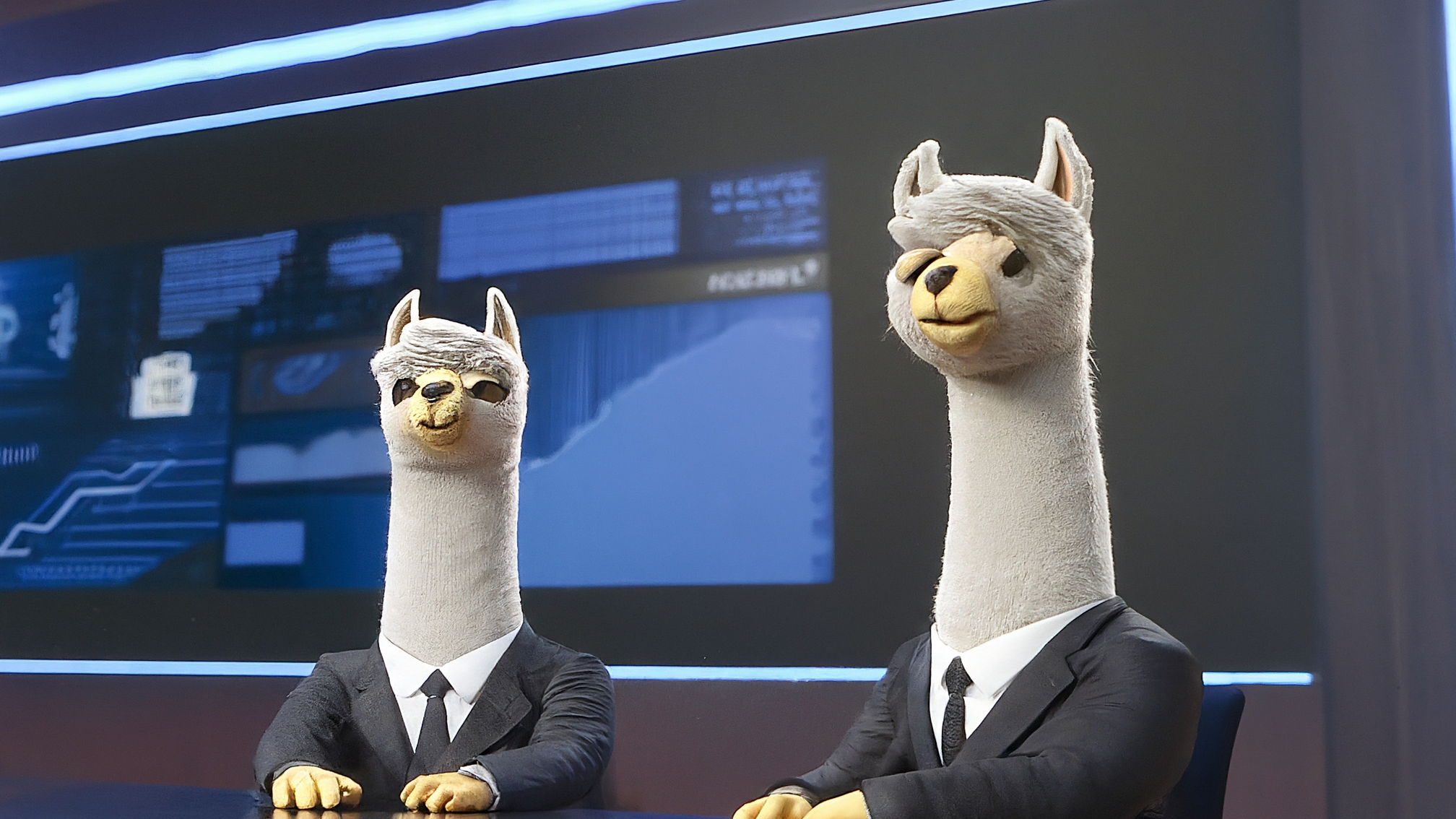 Due lama bianchi in stile cartoon, uno maschio (Marco) con completo blu elegante e una femmina (Kia) con vestito rosa elegante. Marco ha un'espressione seria e analitica, Kia ha un'espressione genuina e attenta. Entrambi sono rivolti verso lo spettatore. Nessun testo presente. Colori vivaci ma professionali.