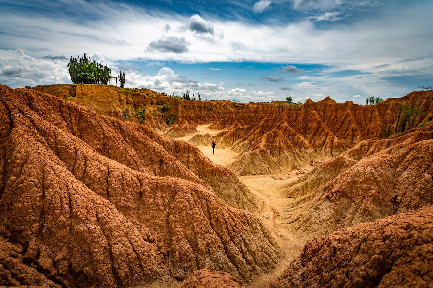 Desierto de la Tatacoa