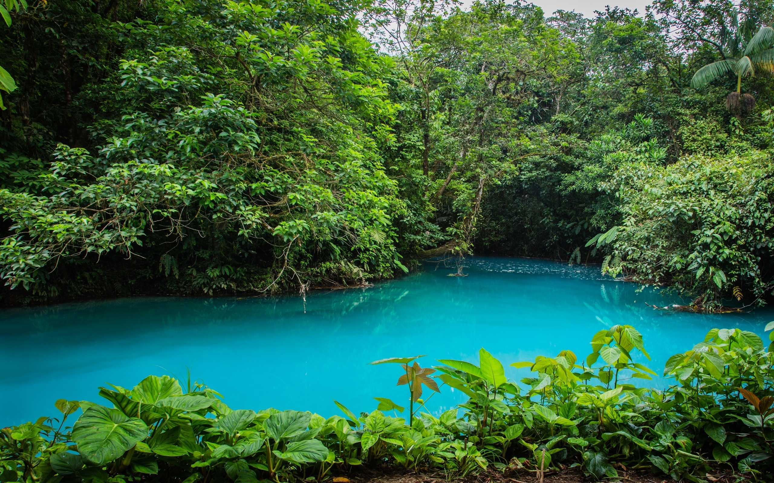 Costa Rica Auténtica 2026