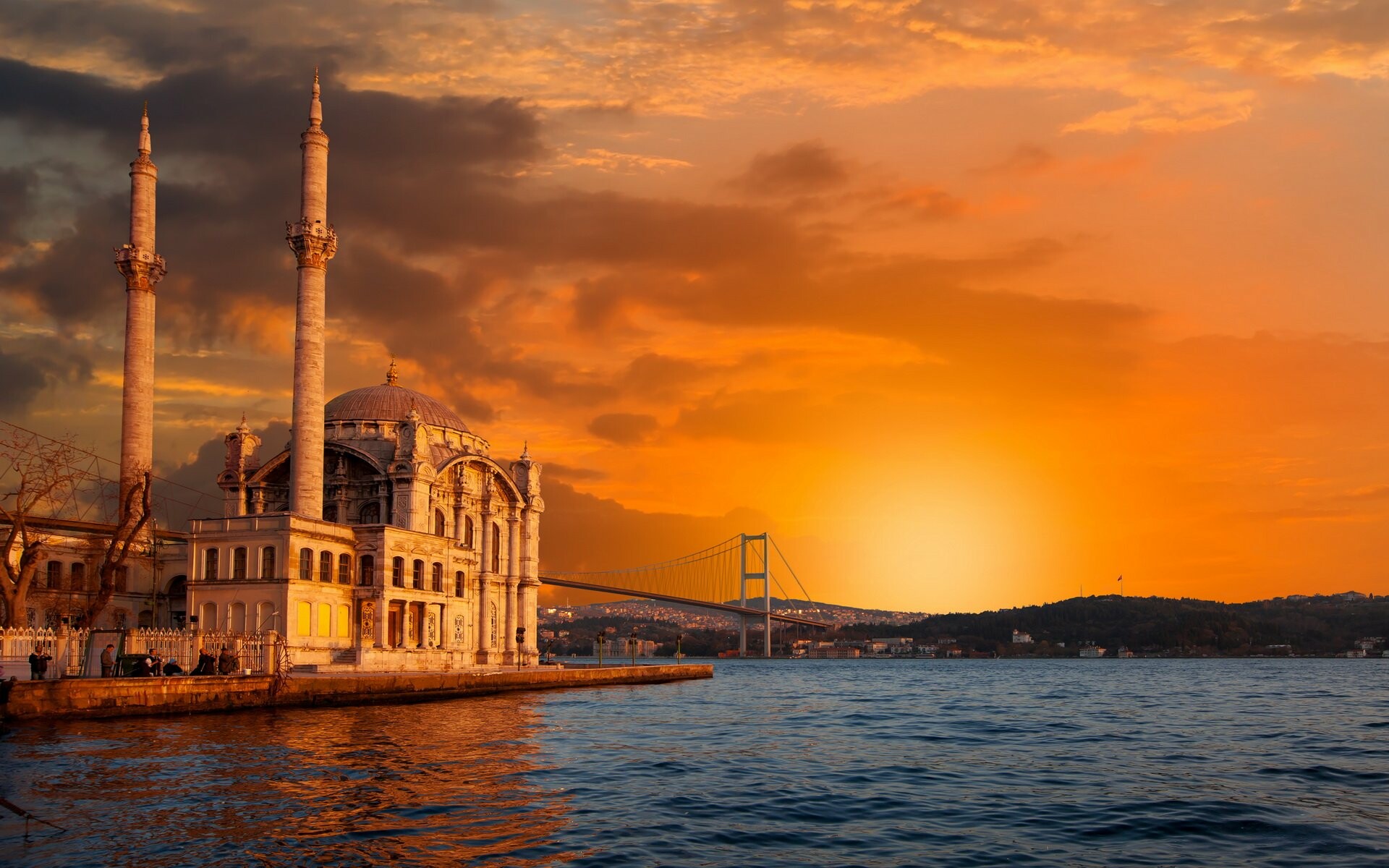 Safari Africano con Estambul - 3