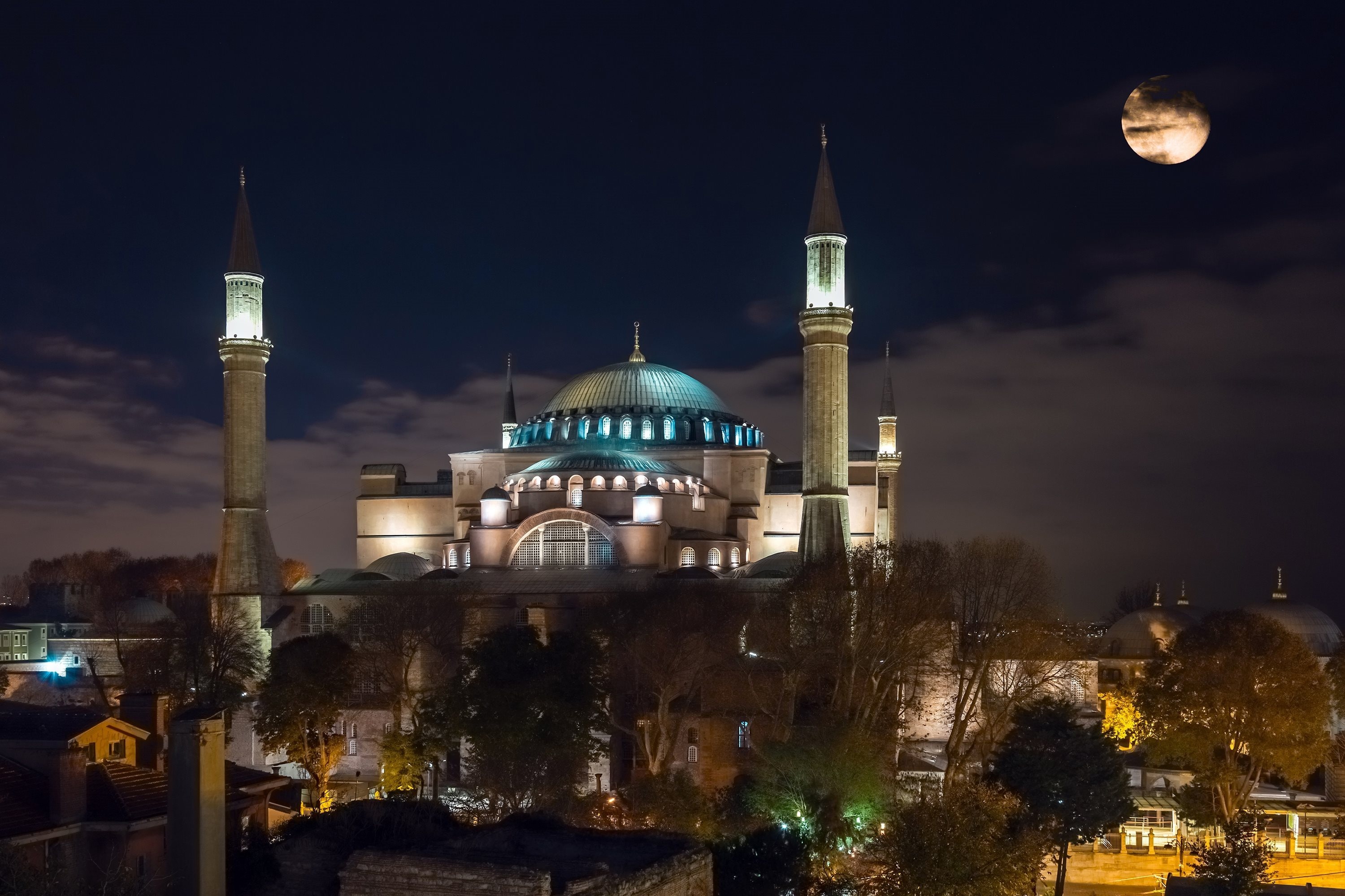 Safari Africano con Estambul - 4