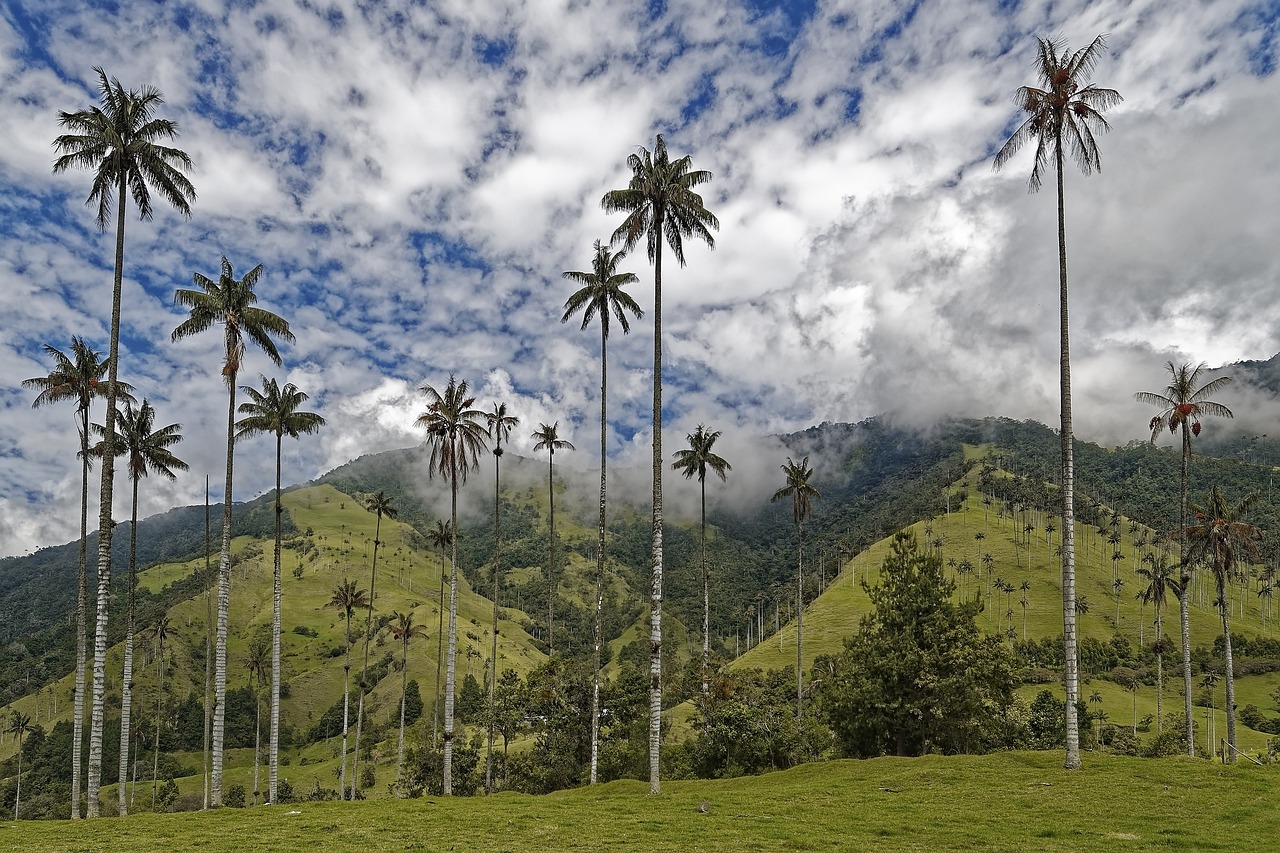 Colombia Unforgettable From the Andes to the Caribbean - 2