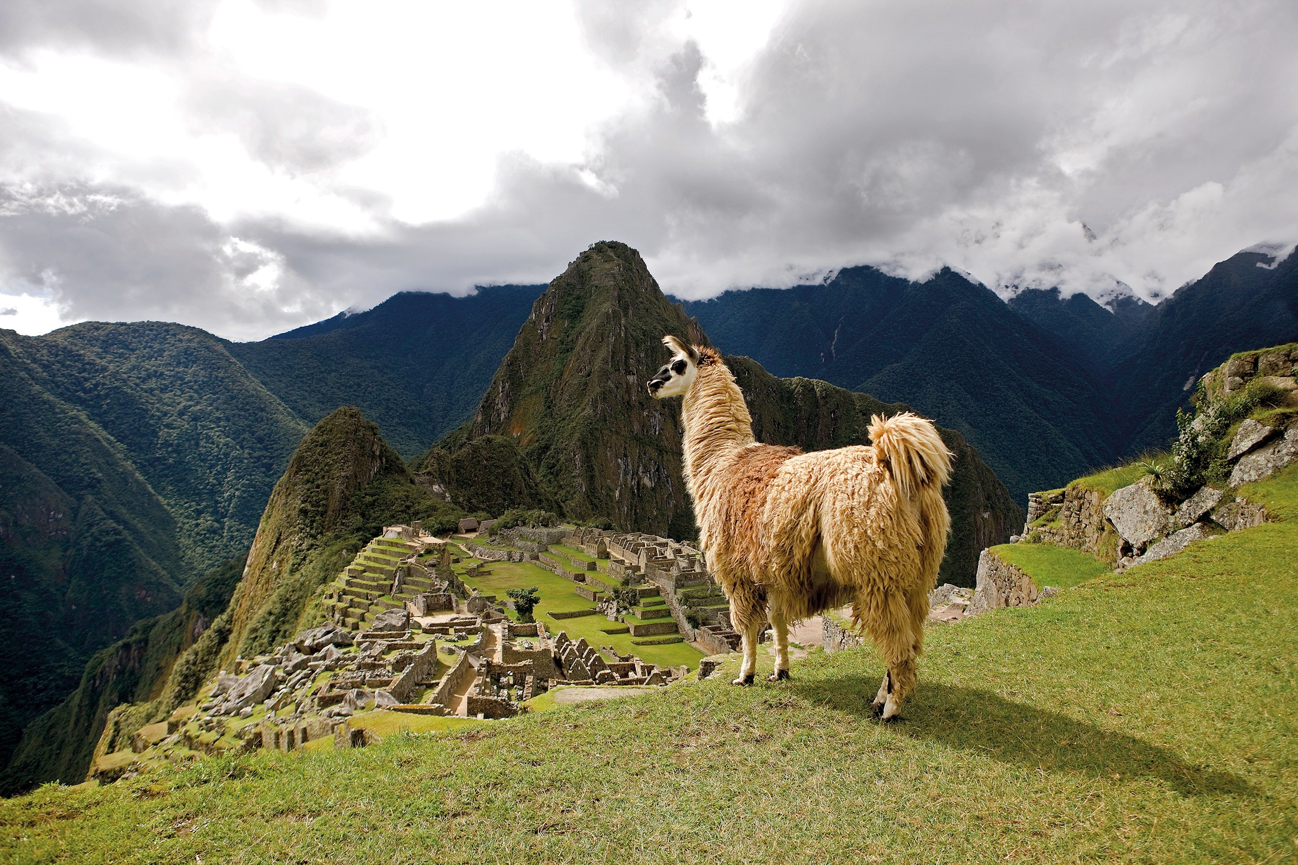 Semana de Receso en Peru