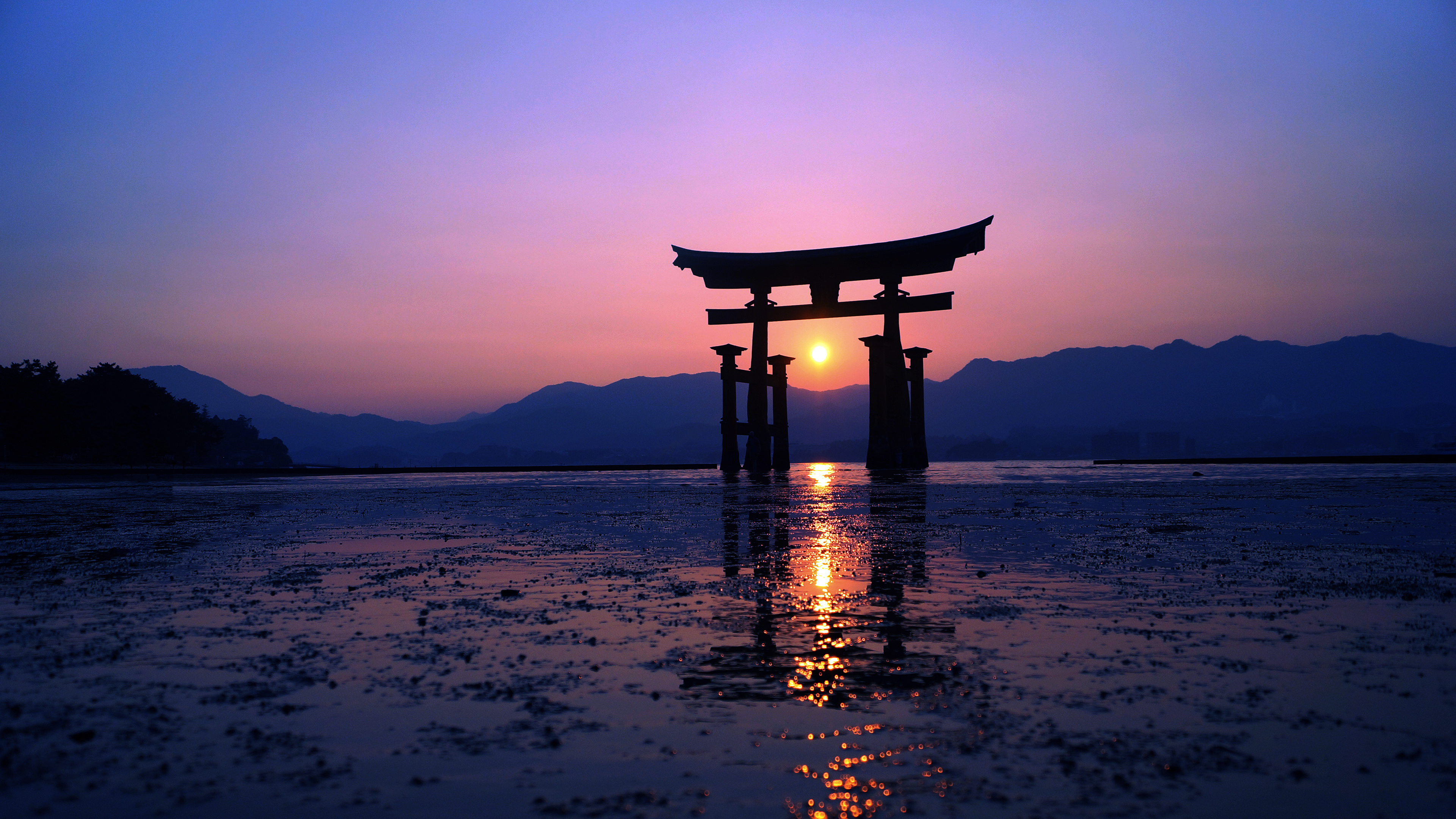 Japon Soñado 2026 - 2027 - imagen 3