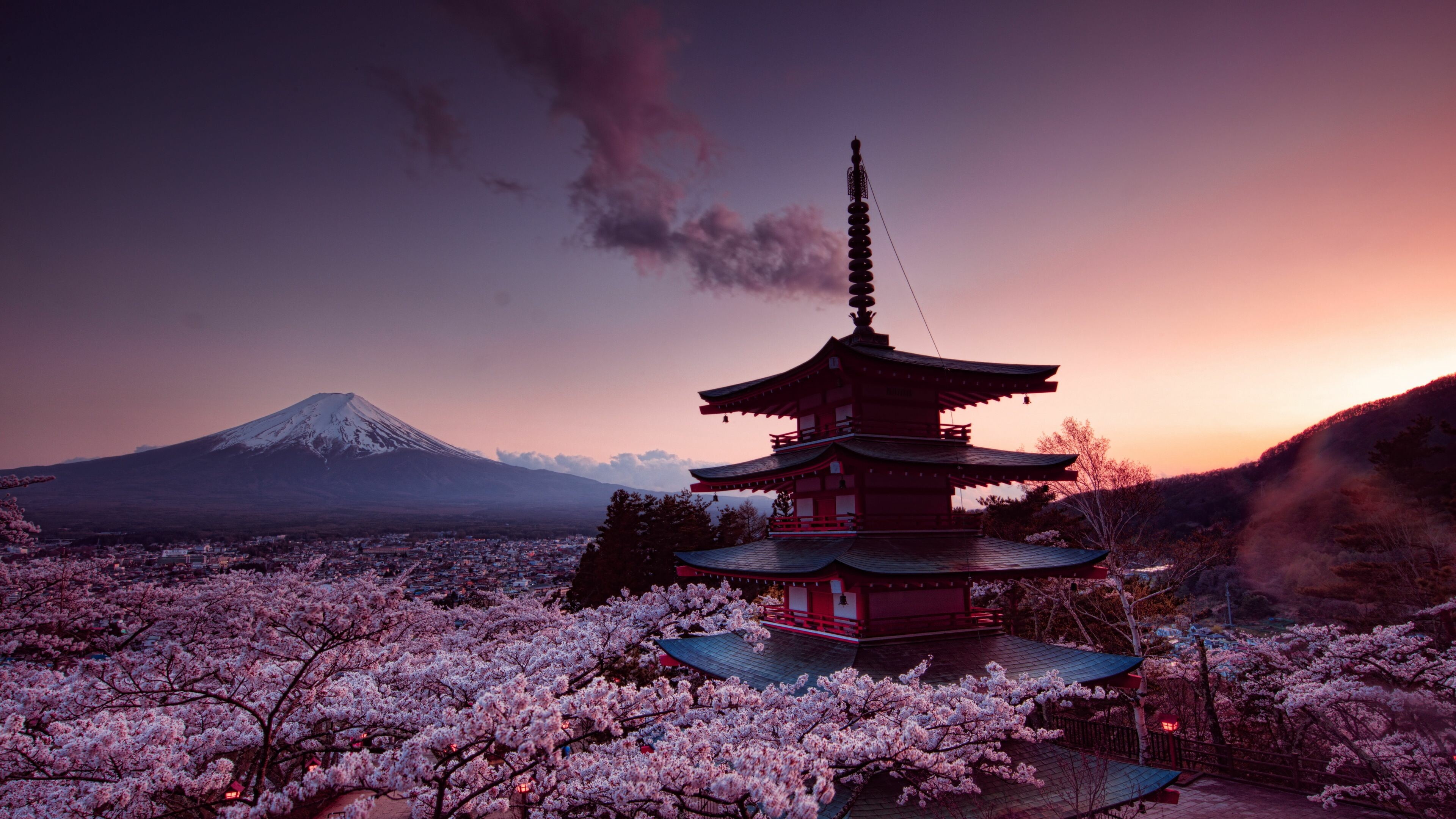 Japon Soñado 2026 - 2027