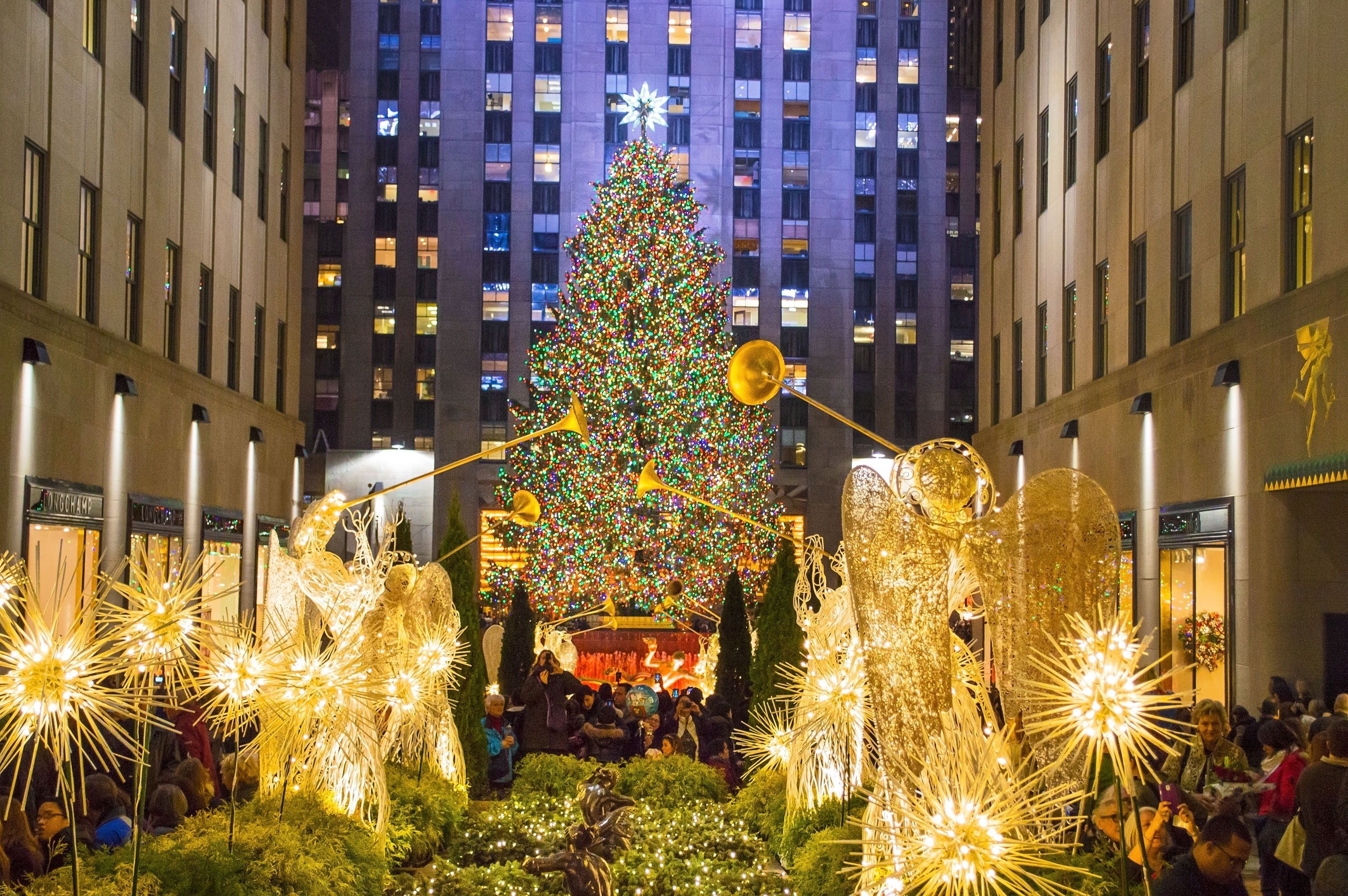 Fin de Año en New York & Washington