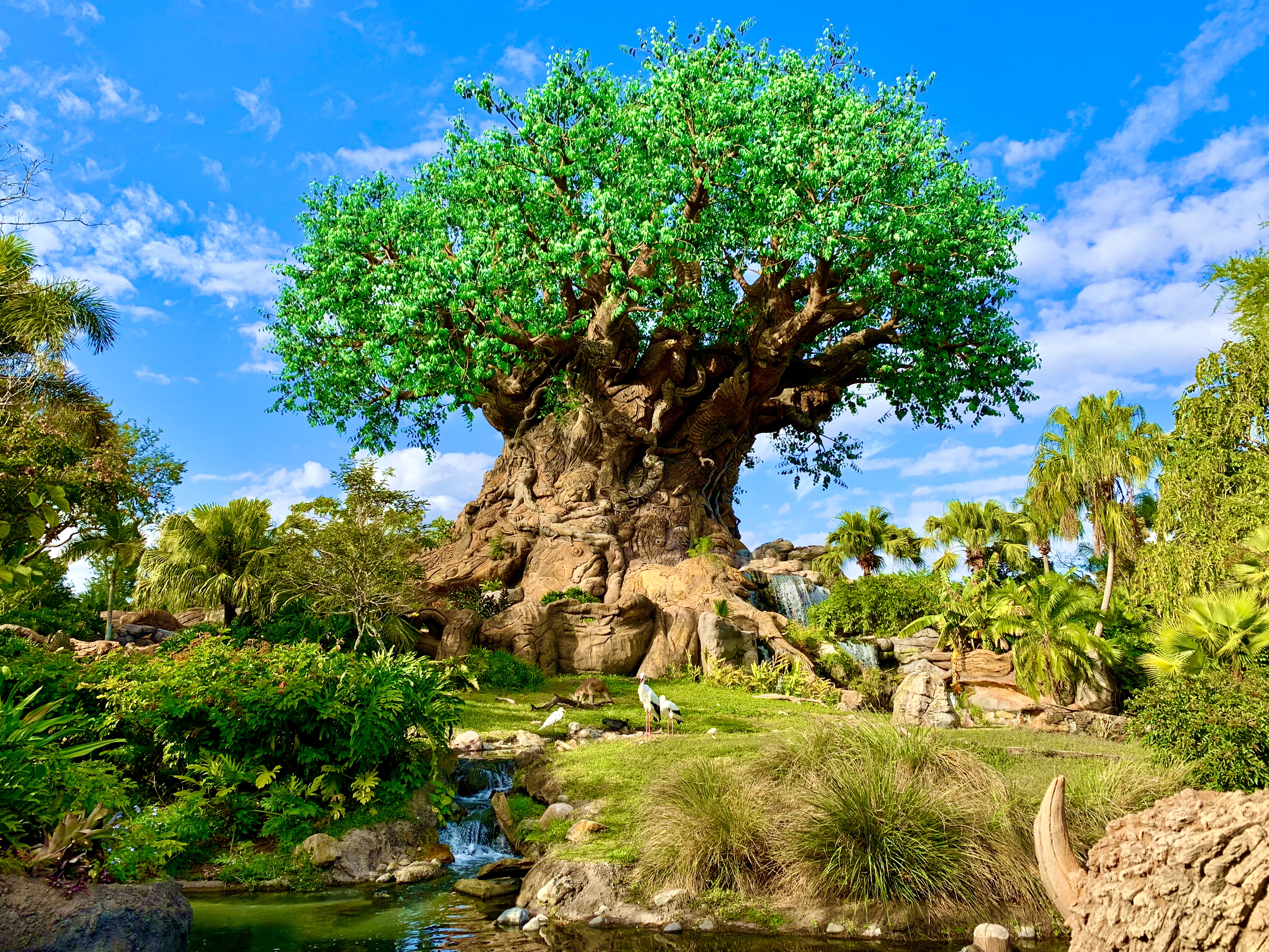 Imagen de Animal Kingdom