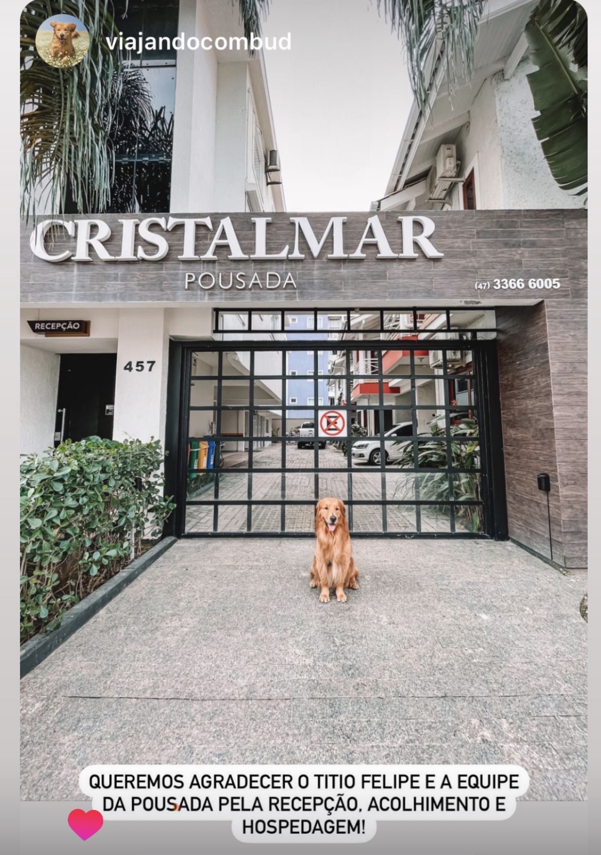 Pet Friendly
