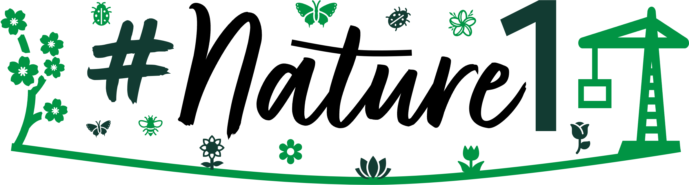 NATURE1 Wildflower Meadows CIC logo