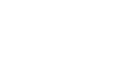Developer