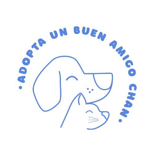 Logo de Fundación Adopta A Un Buen Amigo Chan