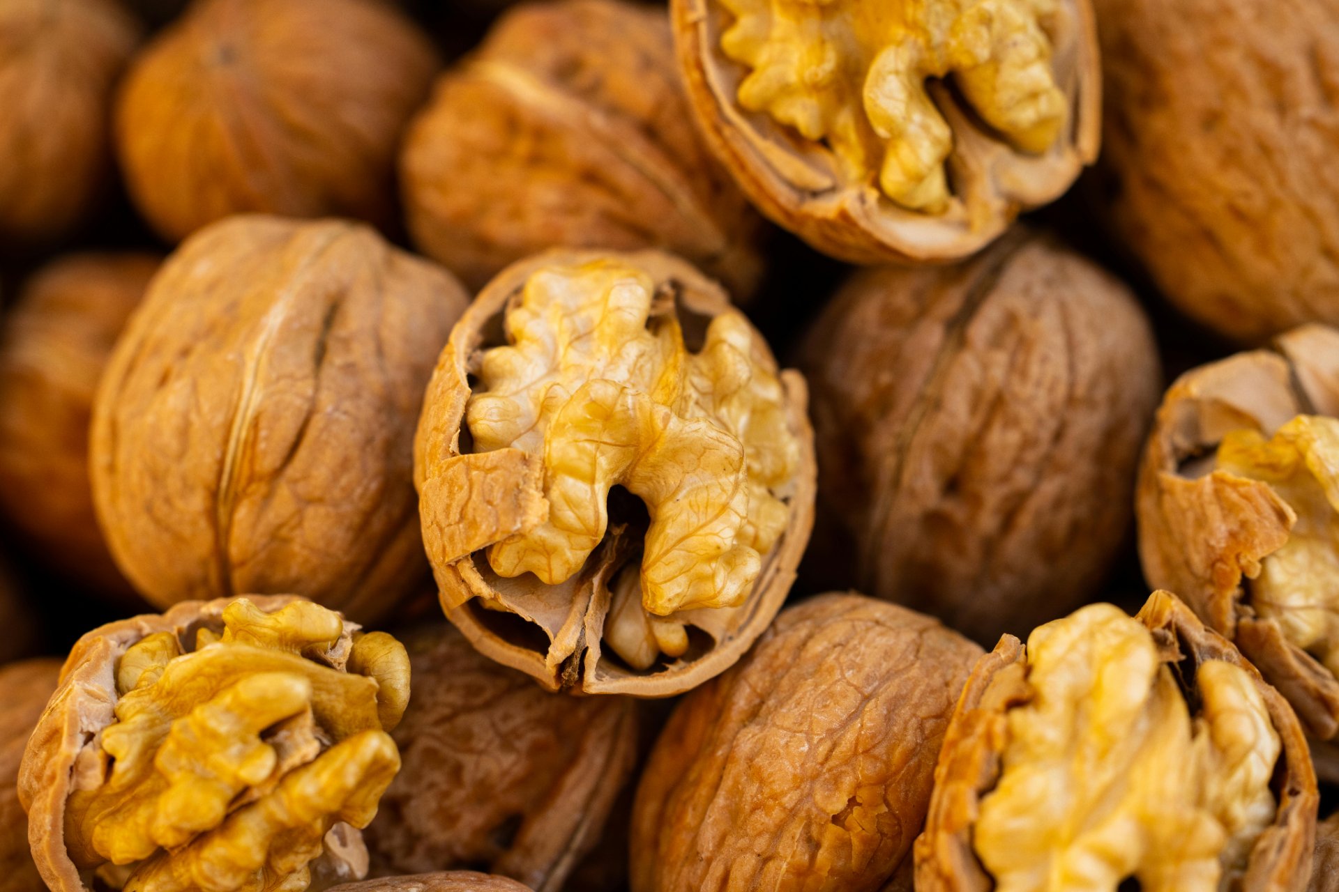Chilean walnut production to decline as growers shift to more profitable crops