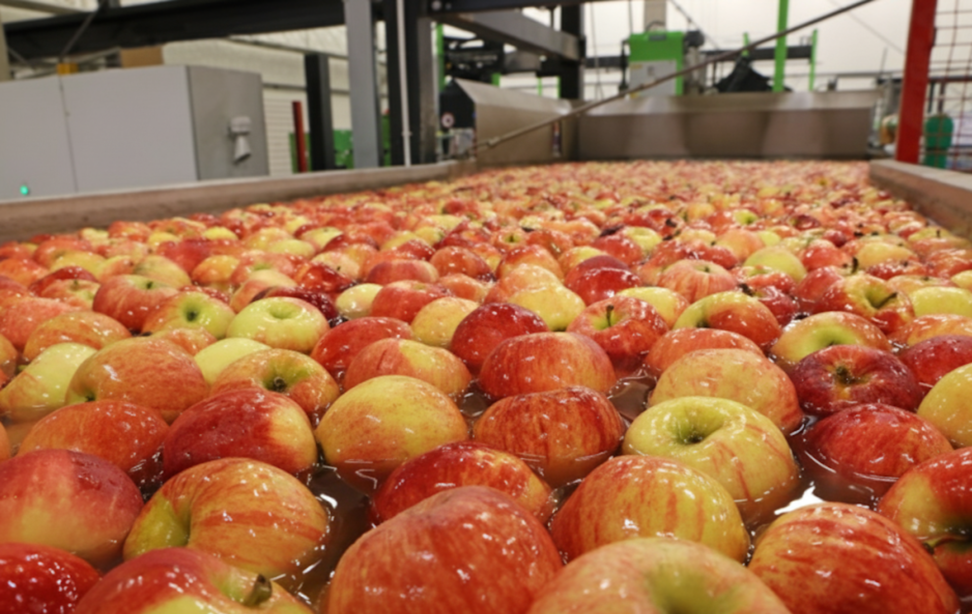 China's Zhonglu sees domestic AJC sales jump 80% as US tariffs bite