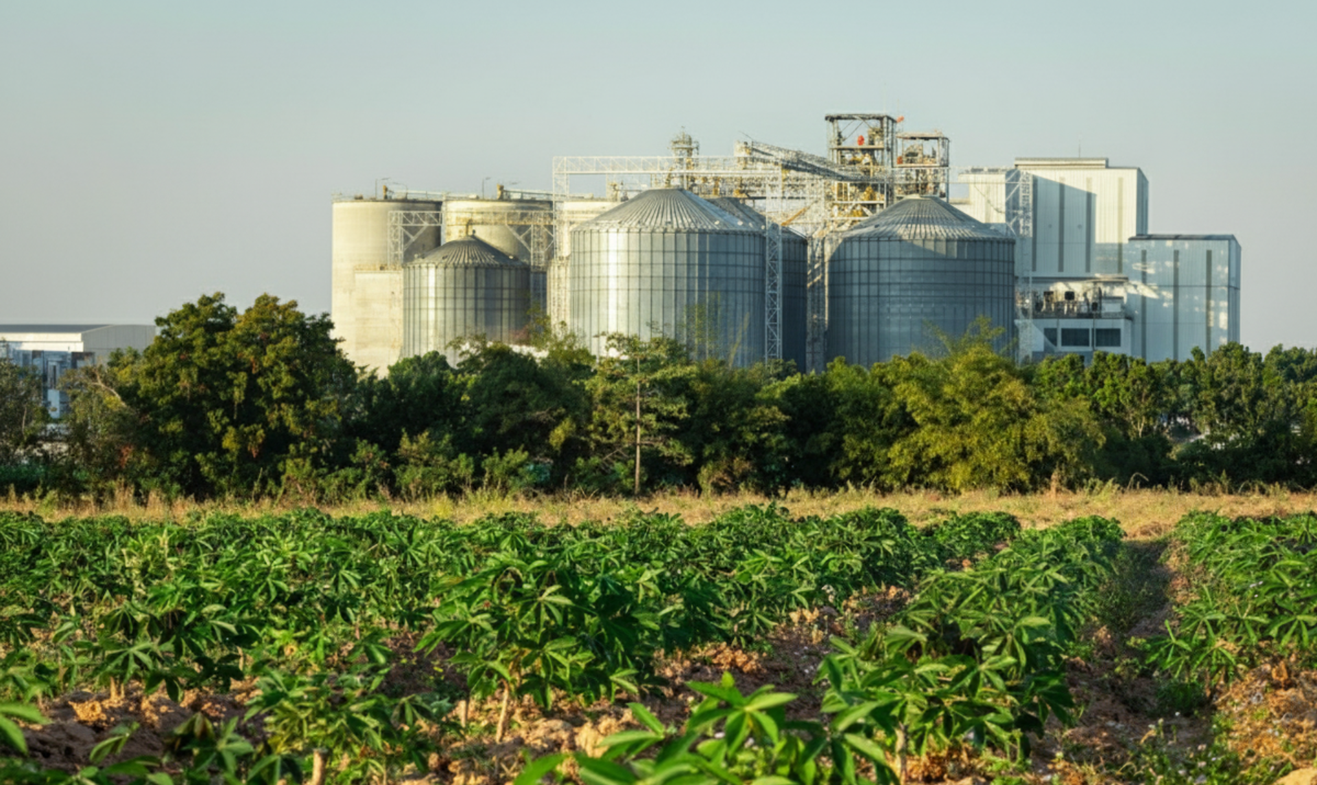 Global biofuels markets face historic shift as US-Brazil tariffs trigger regional retreat