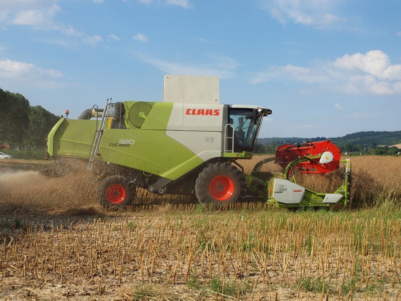 A combine harvester throws up dust cutting rapeseed, with dry pale stubble in the foreground, at Véron in the Yonne, France