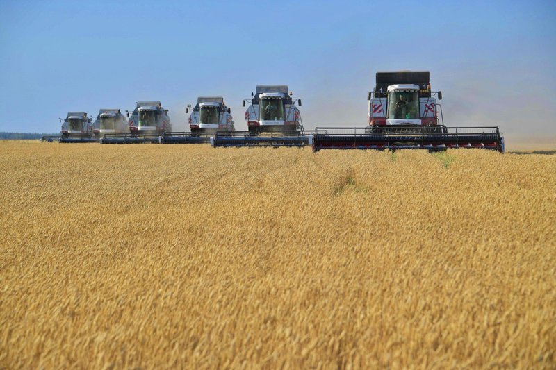 Six combine harvesters working in echelon across a flat ripe grain field under a clear sky in Pavlodar region, Kazakhstan