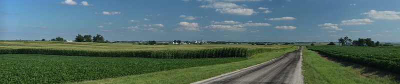 Wide panorama of green corn and soybean fields either side of a country road in flat central Illinois farmland, with a grain elevator on the distant horizon