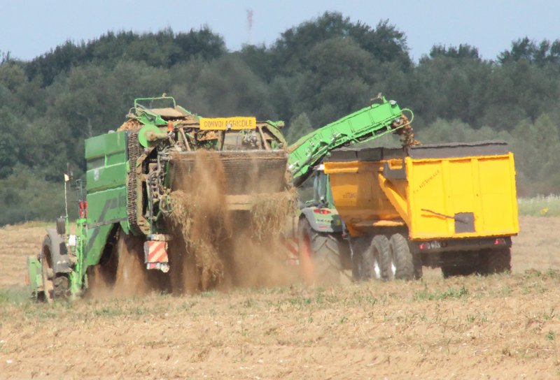 A green potato harvester lifting tubers into a yellow trailer in a dry field at Forest-Montiers in the Somme, northern France, throwing up a cloud of dust and dried haulm