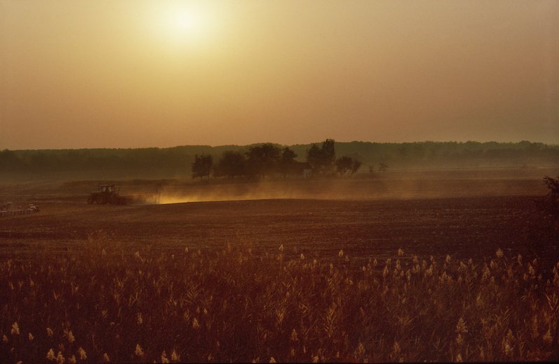 A tractor working a bare field raises a long trail of dust in low autumn sunlight near a farmstead outside Hódmezővásárhely, Hungary