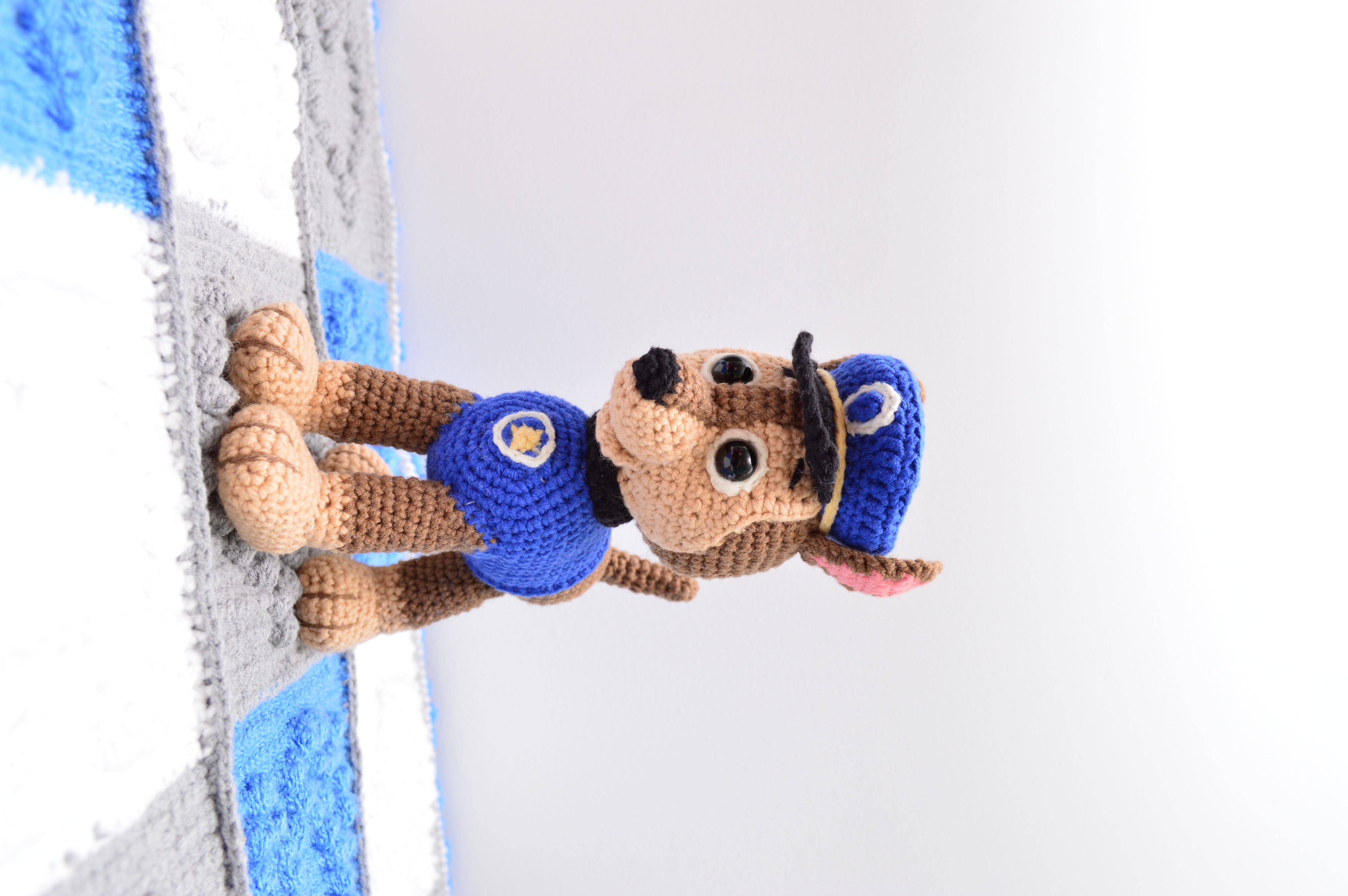 Chase The Puppy - view 1