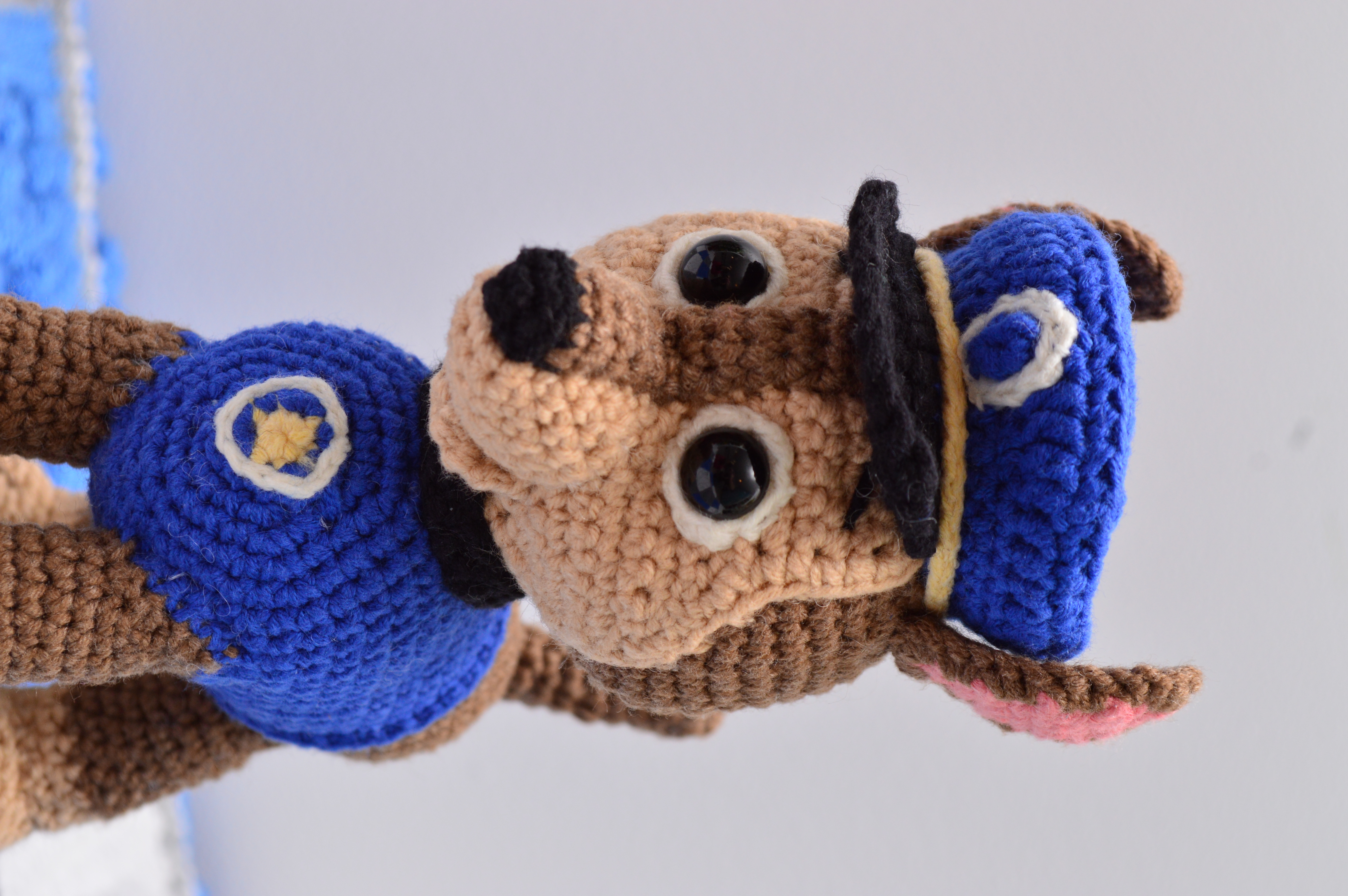 Chase The Puppy - view 3