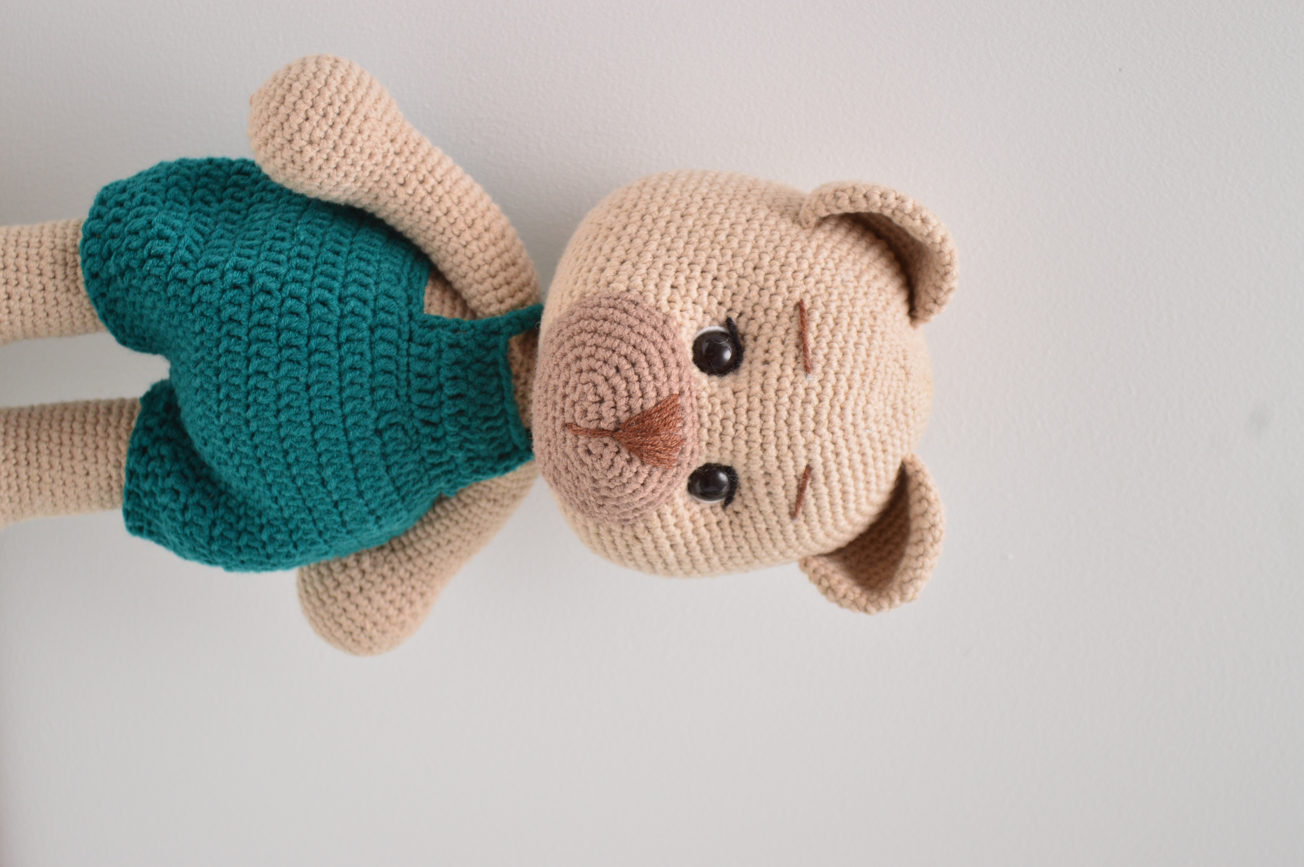 Ursulețul Martinică - view 2