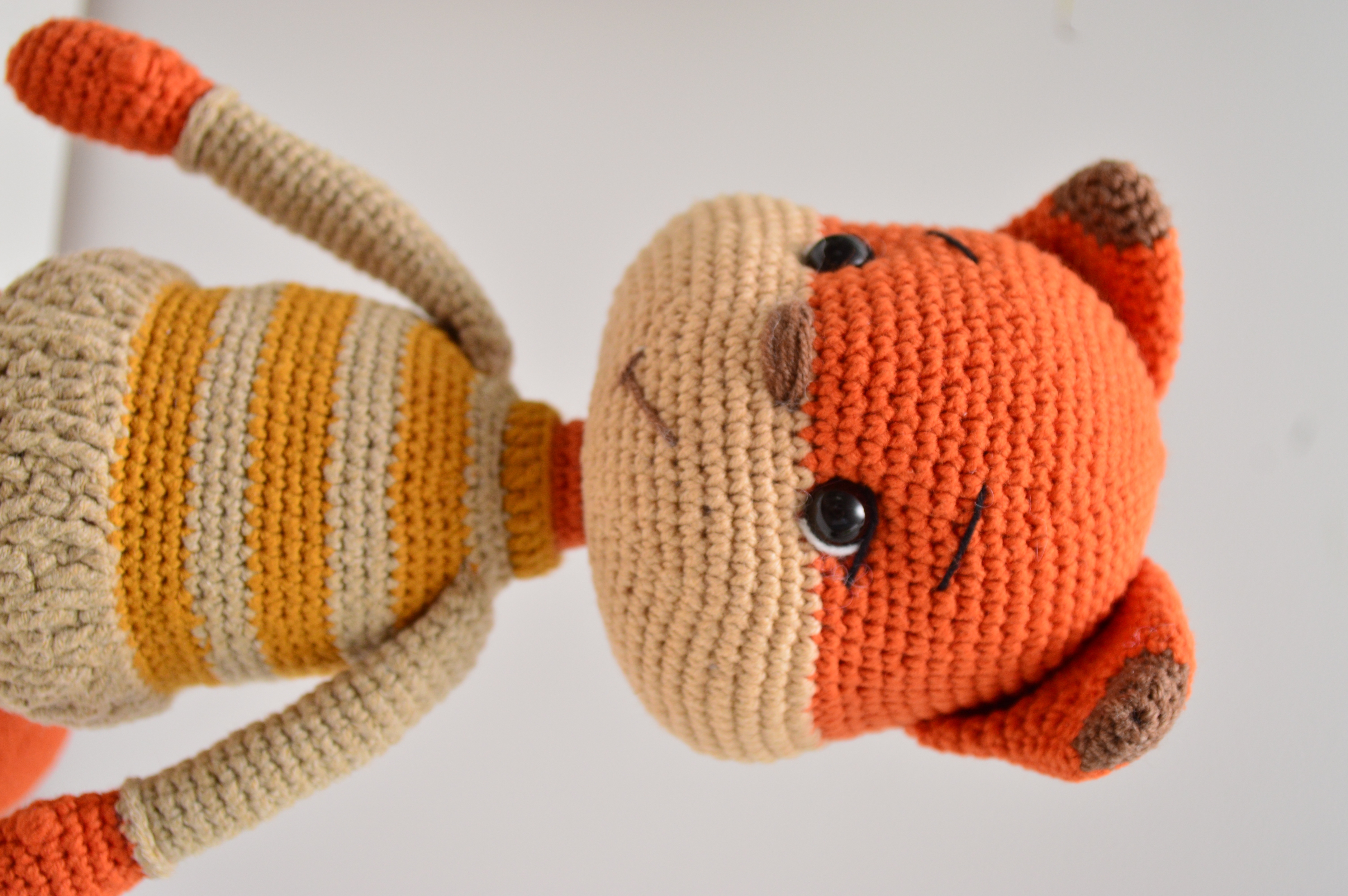 Pequeño zorro - view 1