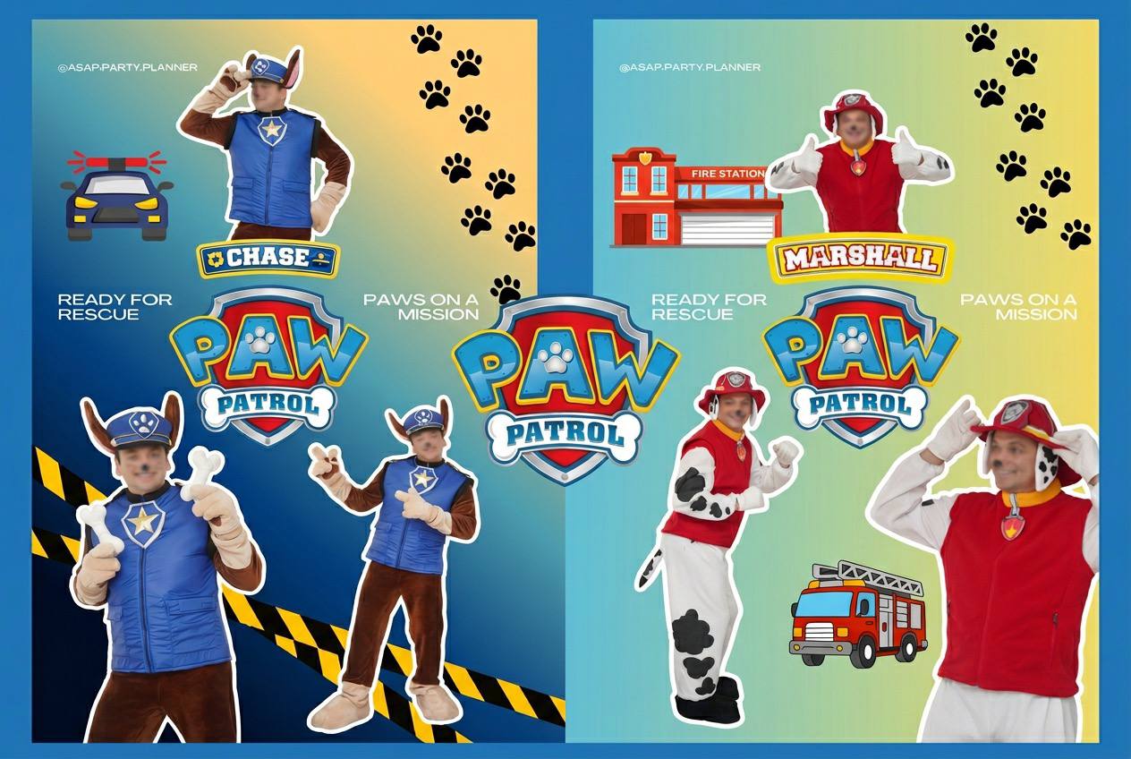 Paw Patrol Rescue Fun Games