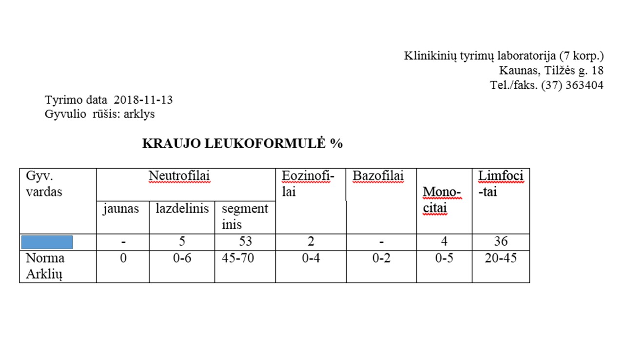 Arklio leukoformulė 2