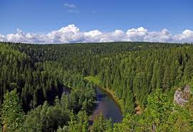 Почему большую часть России занимает тайга?