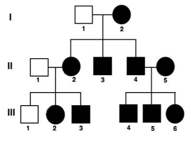 pedigree