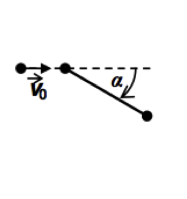 Dumbbell with two masses
