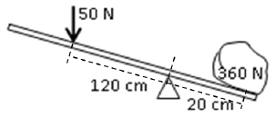 mc009-1.jpg