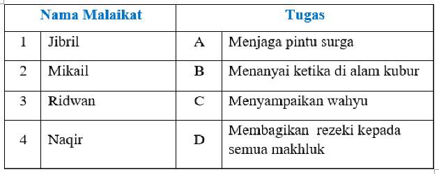 mc014-1.jpg