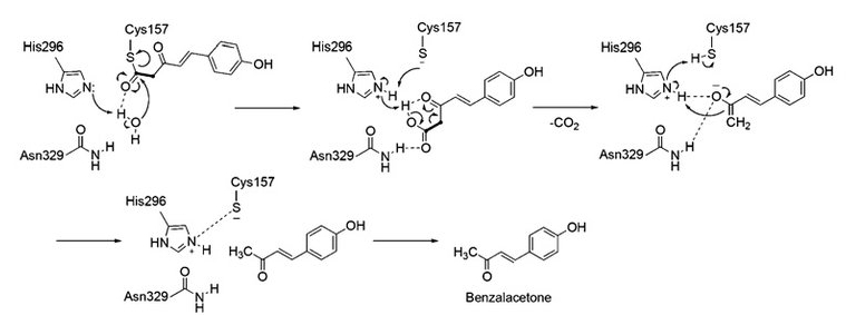 Mechanism