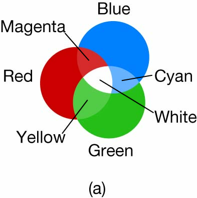 quiz image