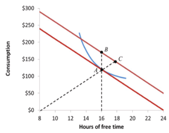 The budget constriants (feasible frontiers) of a worker