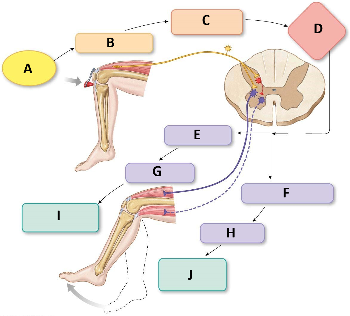 Alfie Part 2 Question Image