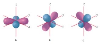 d-orbitals