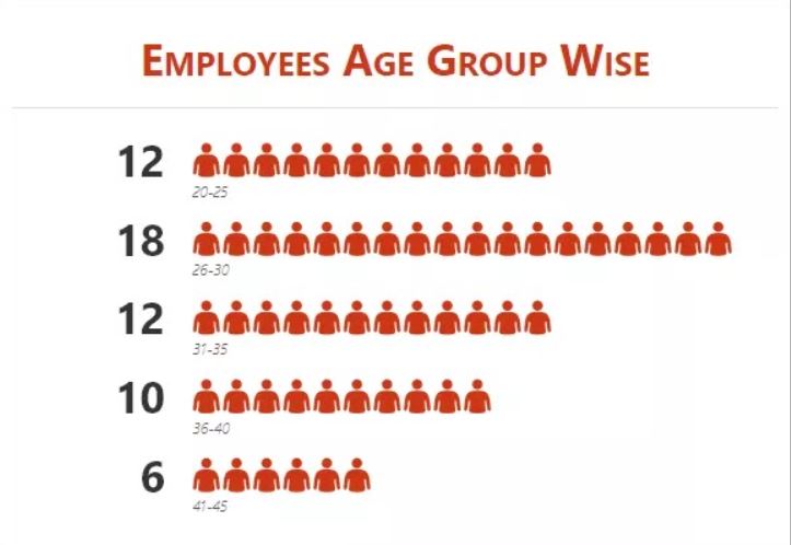 Infographic of employee ages. Employees Age Group Wise labelled at the top