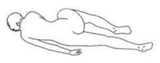 imagel DLD flexion pierna 