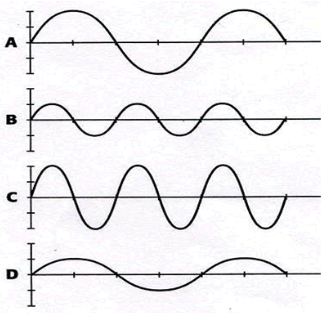 Transverse Waves