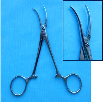 QIP Shot - Screen 077.jpg