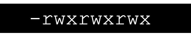 -rwxrwxrwx