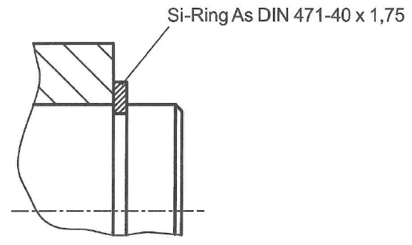 Si-Ring