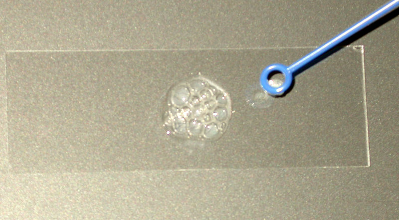 See the source image