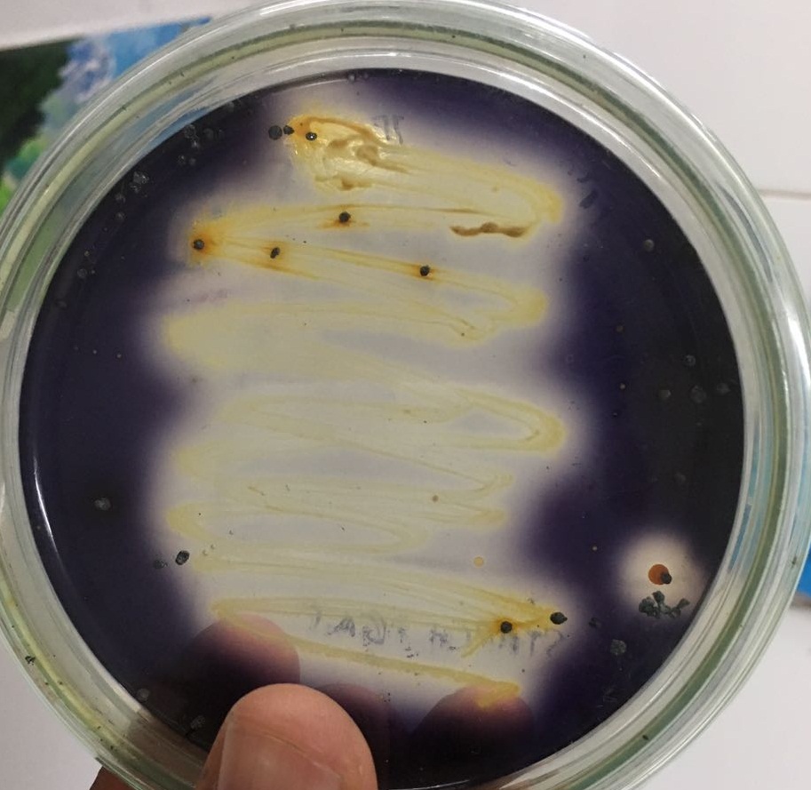 See the source image