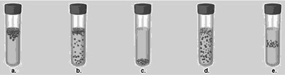 Short Alt text: The figure consists of five round-bottomed tubes with screw caps labeled (a) to (e) that illustrate different growth patterns.

Long Alt text: Tube (a). The tube contains liquid media with bacterial colonies floating at the top of the media.
Tube (b). The tube contains liquid media with bacterial colonies shown floating at the top of the solution with a few colonies dispersed in the media.
Tube (c). The tube contains liquid media with bacterial colonies shown settled at the bottom of the tube.
Tube (d). The tube contains liquid media with bacterial colonies shown dispersed throughout the media.
Tube (e). The tube contains liquid media with bacterial colonies shown at the center of the media.
